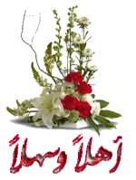 1654686522121.png