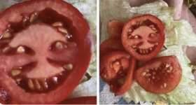 1655679416358.png 1655679416358.png