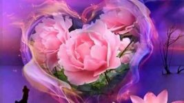 FB_IMG_1508787197162.jpg FB_IMG_1508787197162.jpg