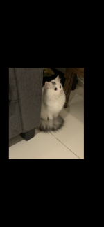 31D820A3-EF07-4EFE-B883-742361B0A66E.png