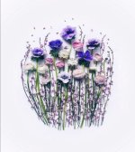 1662814185945.jpg 1662814185945.jpg