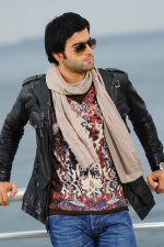 4295-3.jpg 4295-3.jpg