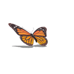 1665676076751.png