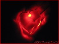 0A080119-5136-4D91-8892-80AC7ED77664.jpeg 0A080119-5136-4D91-8892-80AC7ED77664.jpeg