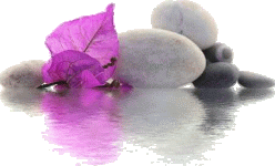 1BF1866C-EB31-4305-8D60-4D29194344E4.gif 1BF1866C-EB31-4305-8D60-4D29194344E4.gif