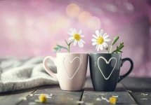 1668462649666.jpg 1668462649666.jpg