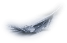 F34FE72C-3F04-4DA7-A555-5621B03868B1.png F34FE72C-3F04-4DA7-A555-5621B03868B1.png