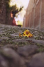 8933CCB4-55BE-42C8-82ED-97B7A5E9C9E0.jpeg 8933CCB4-55BE-42C8-82ED-97B7A5E9C9E0.jpeg