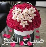 Screenshot_٢٠٢٢١١٢٢-٠١٠٦٥١_Instagram.jpg Screenshot_٢٠٢٢١١٢٢-٠١٠٦٥١_Instagram.jpg