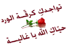 1670306697287.png