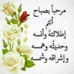 1670816496686.png