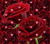 114054.jpg 114054.jpg