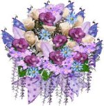 images.jpeg-٣١.jpg images.jpeg-٣١.jpg