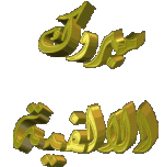 3dlat.net_22_17_7ddf_7b42156f3d613.gif 3dlat.net_22_17_7ddf_7b42156f3d613.gif