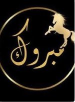 IMG_٢٠٢٣٠١٠٦_٢٠٠٥٥٣.jpg IMG_٢٠٢٣٠١٠٦_٢٠٠٥٥٣.jpg