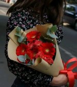 1672259042288.jpg 1672259042288.jpg