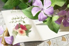 BBCC538F-7241-41EF-8EBC-C1B3D64AA065.jpg BBCC538F-7241-41EF-8EBC-C1B3D64AA065.jpg