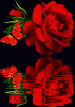 صور-متحركة-3.gif صور-متحركة-3.gif