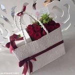 images.jpeg-١٠.jpg images.jpeg-١٠.jpg