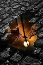 IMG_٢٠٢٣٠١١٩_٢٣٠١٢٤.jpg IMG_٢٠٢٣٠١١٩_٢٣٠١٢٤.jpg