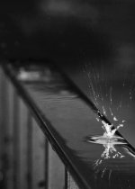 IMG_٢٠٢٣٠١١٩_٢٣٠١٤٠.jpg IMG_٢٠٢٣٠١١٩_٢٣٠١٤٠.jpg