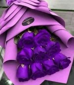 IMG_٢٠٢٣٠١١٩_٢٣١٤١٣.jpg IMG_٢٠٢٣٠١١٩_٢٣١٤١٣.jpg