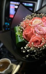 IMG_٢٠٢٣٠١٢١_٠٦٥٦١٦.jpg IMG_٢٠٢٣٠١٢١_٠٦٥٦١٦.jpg