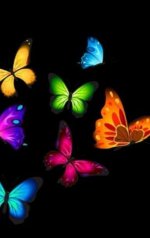 IMG_٢٠٢٣٠١٢١_٠٨٠١٢٢.jpg IMG_٢٠٢٣٠١٢١_٠٨٠١٢٢.jpg