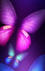 IMG_٢٠٢٣٠١٢١_٠٨٠١٠٦.jpg IMG_٢٠٢٣٠١٢١_٠٨٠١٠٦.jpg