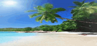 B5E2D082-9F03-11ED-ABA7-0ECAE96DA533.gif