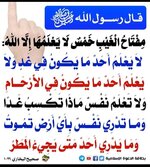 Screenshot_٢٠٢٣٠٢١٠-٠٢٠٣٤٣_WhatsApp.jpg