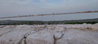 ٢٠٢٣٠٢١١_١٧١٣٥٣.jpg