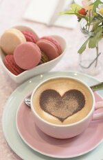 IMG_٢٠٢٣٠٣١٥_٠٦٤٨٢٤.jpg IMG_٢٠٢٣٠٣١٥_٠٦٤٨٢٤.jpg