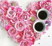 IMG_٢٠٢٣٠٣١٥_٠٦٥٠١٤.jpg IMG_٢٠٢٣٠٣١٥_٠٦٥٠١٤.jpg