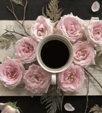 IMG_٢٠٢٣٠٣١٥_٠٦٥٠٠١.jpg IMG_٢٠٢٣٠٣١٥_٠٦٥٠٠١.jpg