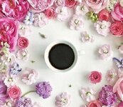 IMG_٢٠٢٣٠٣١٥_٠٦٤٩٤٧.jpg IMG_٢٠٢٣٠٣١٥_٠٦٤٩٤٧.jpg