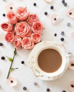 IMG_٢٠٢٣٠٣١٥_٠٦٤٩٢٣.jpg IMG_٢٠٢٣٠٣١٥_٠٦٤٩٢٣.jpg