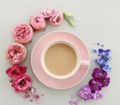 IMG_٢٠٢٣٠٣١٥_٠٦٤٩٠٠.jpg IMG_٢٠٢٣٠٣١٥_٠٦٤٩٠٠.jpg