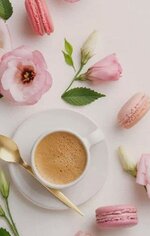 IMG_٢٠٢٣٠٣١٥_٠٦٤٨٤٨.jpg IMG_٢٠٢٣٠٣١٥_٠٦٤٨٤٨.jpg