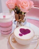 IMG_٢٠٢٣٠٣١٥_٠٦٤٨٣٥.jpg IMG_٢٠٢٣٠٣١٥_٠٦٤٨٣٥.jpg