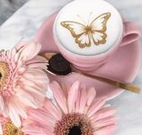 IMG_٢٠٢٣٠٣١٥_٠٦٤٨١٢.jpg IMG_٢٠٢٣٠٣١٥_٠٦٤٨١٢.jpg