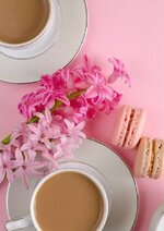 IMG_٢٠٢٣٠٣١٥_٠٦٤٧٥٧.jpg IMG_٢٠٢٣٠٣١٥_٠٦٤٧٥٧.jpg