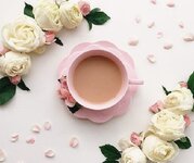 IMG_٢٠٢٣٠٣١٥_٠٦٤٧١٩.jpg IMG_٢٠٢٣٠٣١٥_٠٦٤٧١٩.jpg