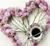 IMG_٢٠٢٣٠٣١٥_٠٦٤٧٠٥.jpg IMG_٢٠٢٣٠٣١٥_٠٦٤٧٠٥.jpg