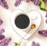 IMG_٢٠٢٣٠٣١٥_٠٦٤٦٤٩.jpg IMG_٢٠٢٣٠٣١٥_٠٦٤٦٤٩.jpg