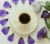 IMG_٢٠٢٣٠٣١٥_٠٦٤٦٢١.jpg IMG_٢٠٢٣٠٣١٥_٠٦٤٦٢١.jpg