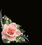 IMG_٢٠٢٣٠٣١٦_٢٠٠١٠٠.jpg