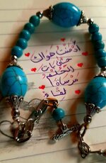 Screenshot_٢٠٢٣٠٣٢٦-١٥٣٥١٣_Gallery.jpg