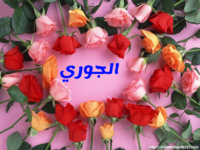 T401680310237006.png