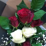 1683261090309.jpeg 1683261090309.jpeg